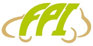 FPİ
